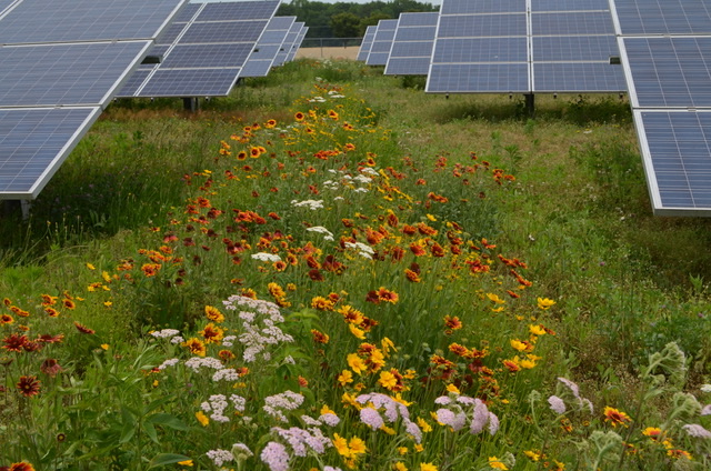 Hemlock Hills Image 1